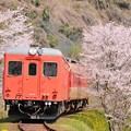 桜とキハ52首都圏色+キハ28