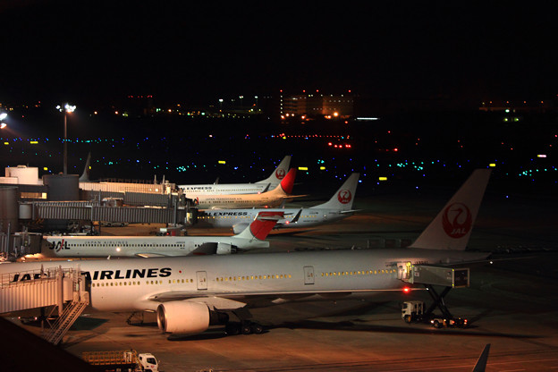 JAL MD-90　~Last Night With JAL Family~