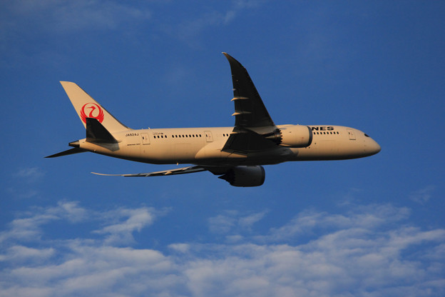 JAL B787 ~Dive To Sky~