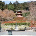 写真: 紅葉が終わり、冬の勝尾寺
