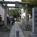 写真: 熊野神社の参道