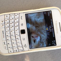 写真: BlackBerry Bold 9900