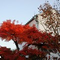写真: 蔵と紅葉