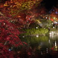写真: 湖畔の紅葉