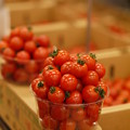 写真: トマトを詰め詰め