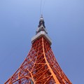 写真: 見上げる尖塔