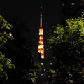 写真: 東京タワー夜景