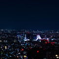 写真: 都庁からの夜景