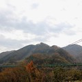 写真: もみじ橋大吊橋と紅葉（2013/11/3）