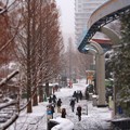 写真: 20130208　上野　雪の上野動物園01