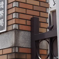 写真: 造幣局桜の通り抜け
