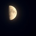 写真: 明るさが増した上弦の月