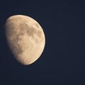 写真: 薄雲越しながら明るさを増した月