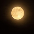 山吹色の十六夜満月