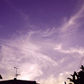 写真: 夕空の雲と遊ぶ　２
