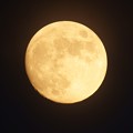 写真: 雲の上に出て束の間の明るく綺麗なお月様