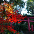写真: 竹袋稲荷神社