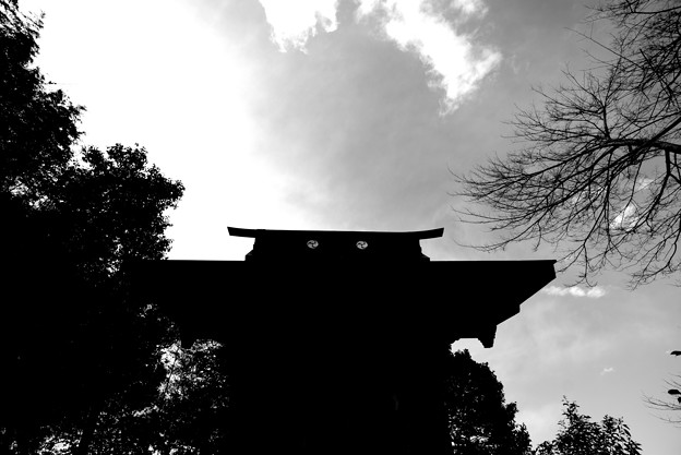 写真: 猿田彦神社
