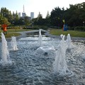 写真: 公園の噴水