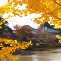 写真: 奈良公園から大仏池へ