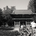 写真: 根津神社