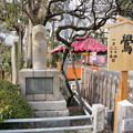 写真: 亀戸天神社のウソ