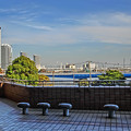 写真: Bay Side Yokohama