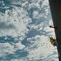 写真: 青空と風車