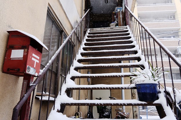 階段の雪