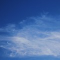 写真: 秋バ−ジョンの空に月　五日月　　09：09