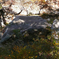 写真: 昇仙峡の亀石