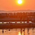 写真: 江ノ島初日の出