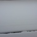 写真: デッキの雪
