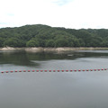 写真: IMG_6337　三河湖　水量小