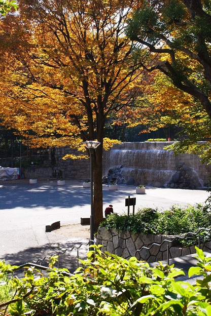 写真: 新宿ナイアガラの滝
