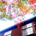 写真: 木造校舎の秋〜今も昔も変わらぬ秋彩３