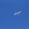 写真: 上空を飛ぶJAL B777-300（2012/07/30 おきなわワールド）
