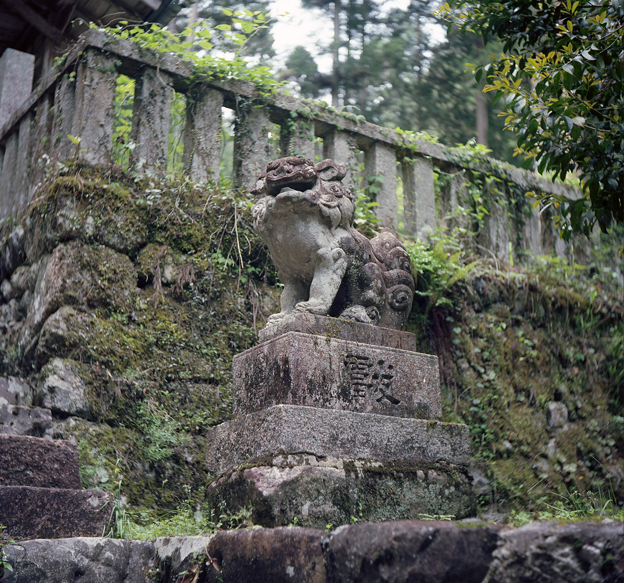 山の中の神社　狛犬