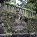 写真: 山の中の神社　狛犬