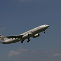 写真: ETIHAD Airbus A330-243(A6-EYL) 最終着陸態勢