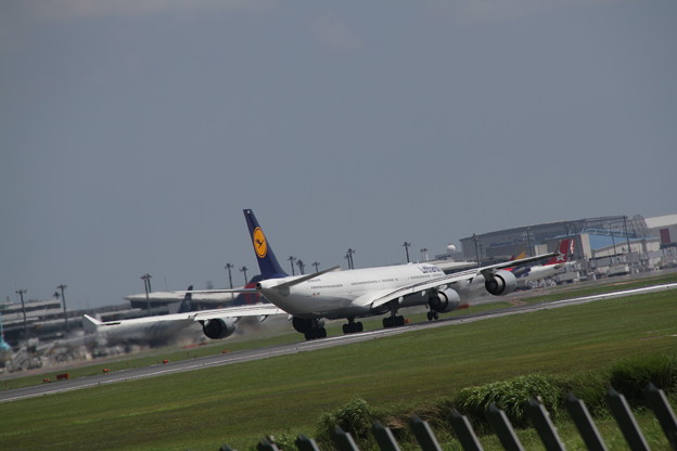 Lufthansa Airbus A340-642X(D-AIHQ) 滑走中