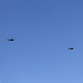 写真: UH-60 ブラックホーク 2機