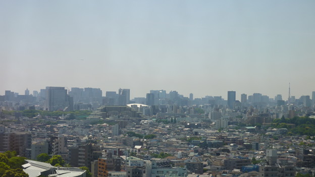 写真: 東京ドームも、東京タワーも…