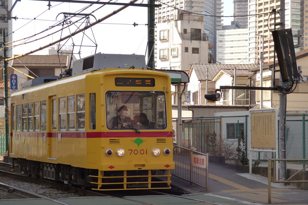 写真: 「赤帯車」になった7001号車(4)