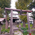写真: 日枝神社（荒川区・南千住）