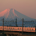 写真: 紅富士２０５列車