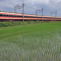 写真: 吉水〜堀米　カーブ　１６１２列車