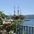 紫陽花と海賊船