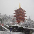 写真: 高幡不動尊の雪景色（東京都日野市）