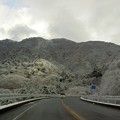 天城路の雪景色・鍋失トンネル付近（静岡県河津町）